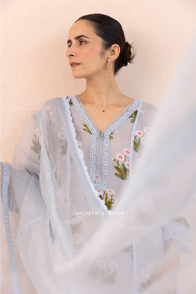 Organza Satin Printed Buta A line Kurta Set in Baby Blue