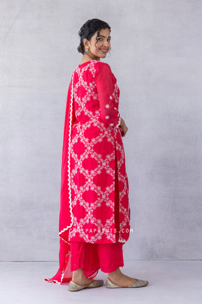 Organza Jaal Embroidery Kurta Set in Virtual Pink