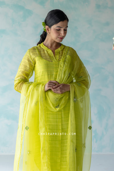 Chanderi SIlk Checks Hand Embroidered Kurta Set in Fluorescent Green