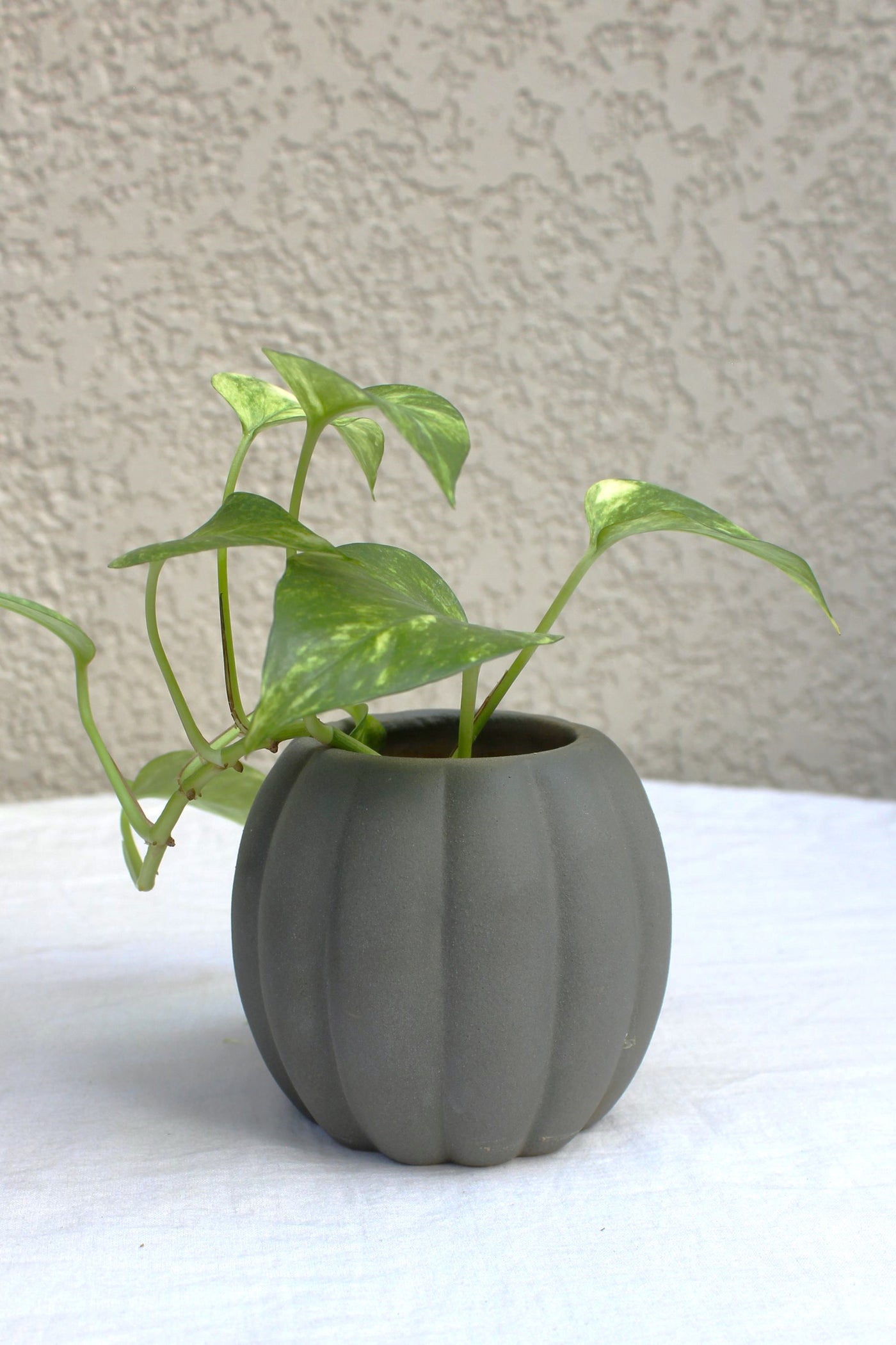 Ceramic Stoneware Flower Vases in Grey