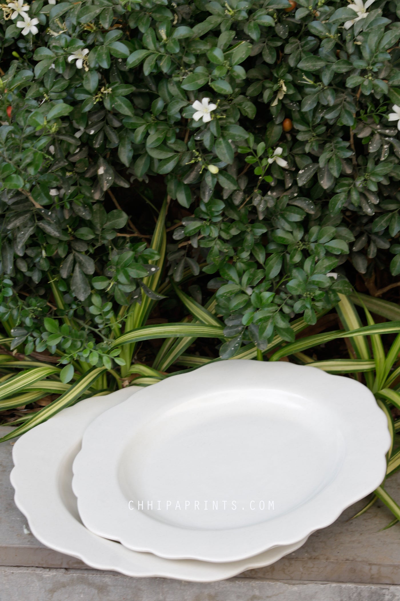 CERAMIC STONEWARE DINNER PLATE IN MILKY WHITE