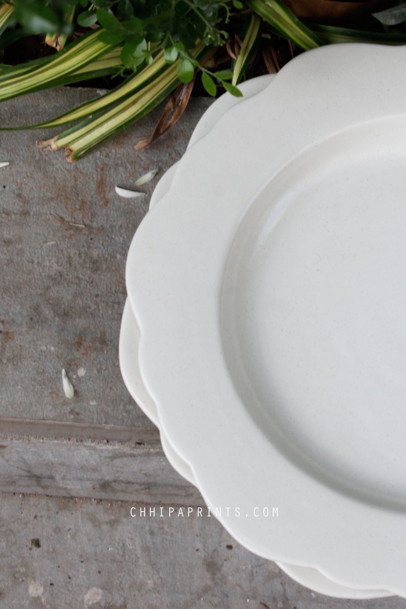 CERAMIC STONEWARE DINNER PLATE IN MILKY WHITE